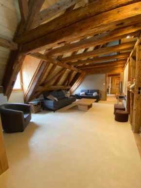 Chaleureux grand gîte avec terrasse et jardin en Alsace - 10-12 personnes